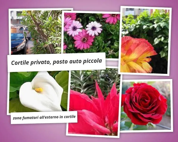 B&B Le Pavoncelle Cagliari 5*,  Italië