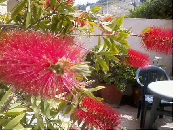 B&B Le Pavoncelle Cagliari Italië